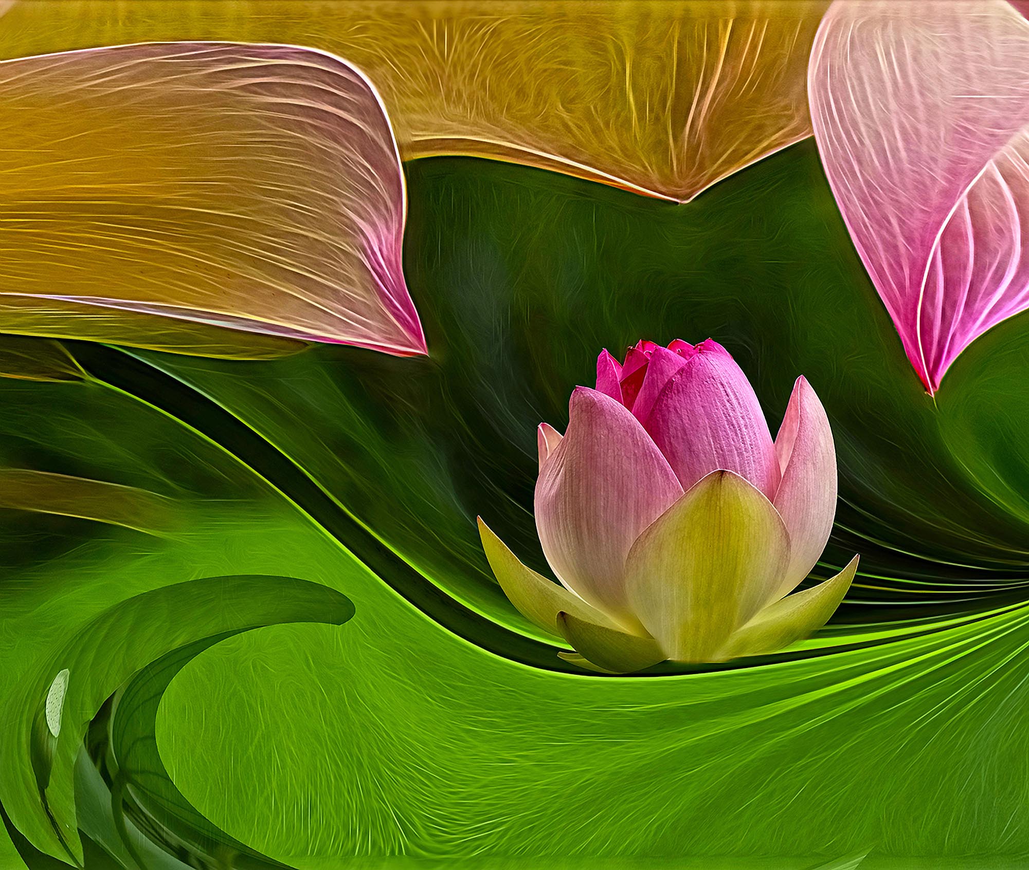 Altered Lotus
